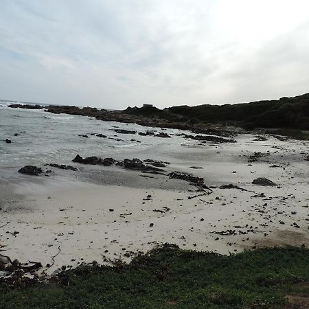 Wave Dancer Gansbaai Exterior foto