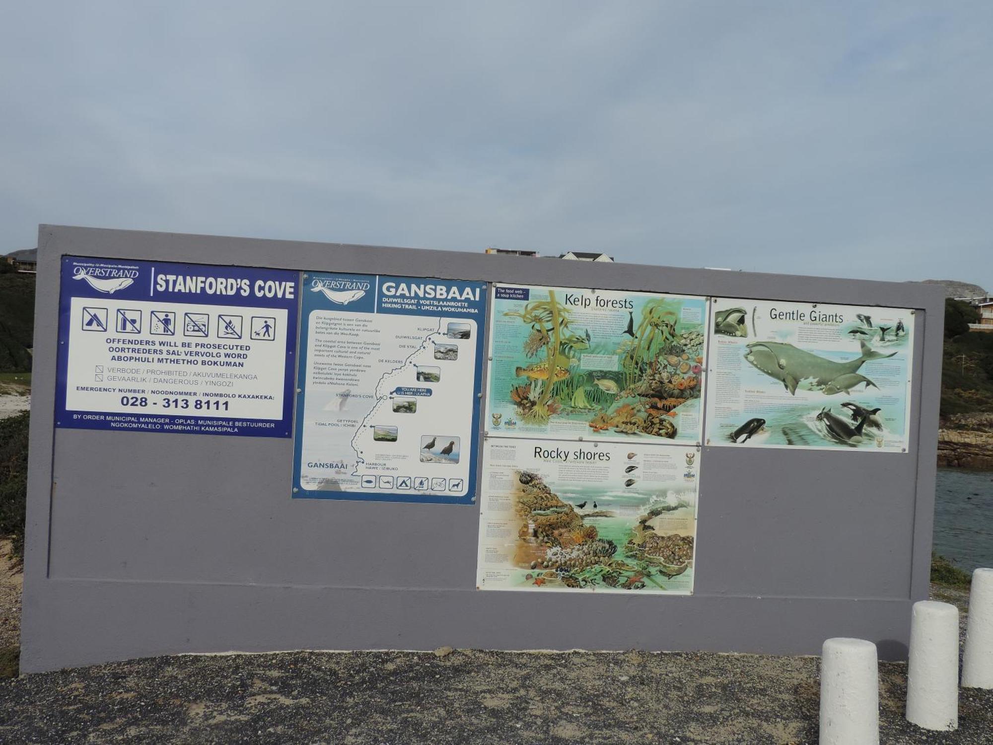 Wave Dancer Gansbaai Exterior foto