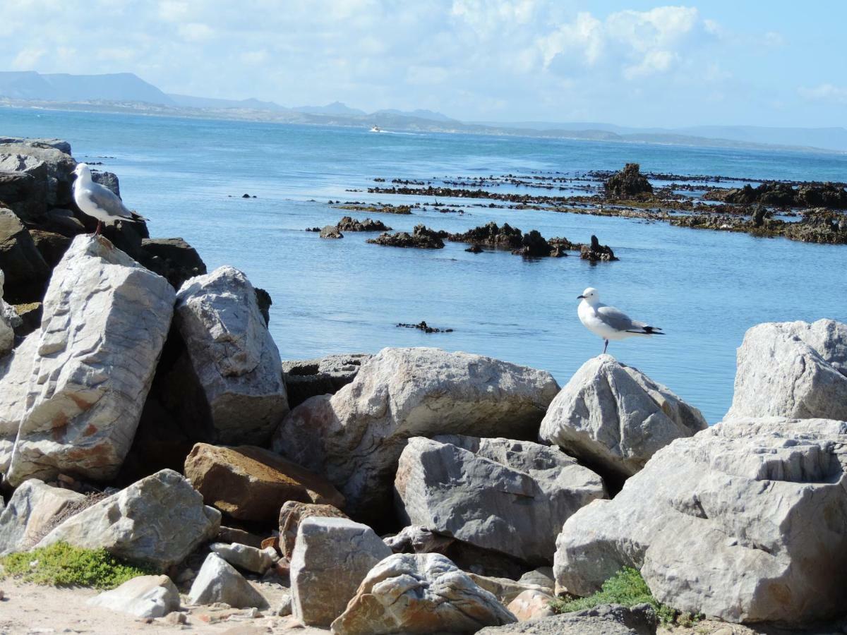 Wave Dancer Gansbaai Exterior foto