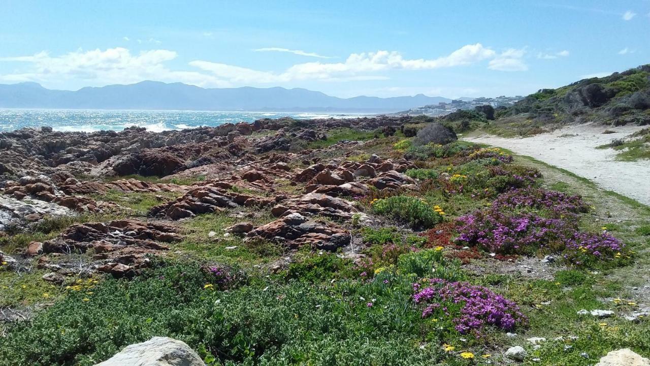 Wave Dancer Gansbaai Exterior foto